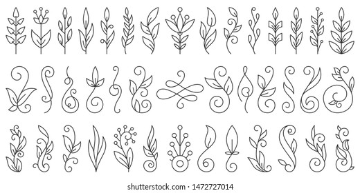 Floral Branch thin line set. Flourish ornament simple outline signs collection. Swirl vintage calligraphy wedding design element, linear style. Black contour Isolated on white flat vector Illustration