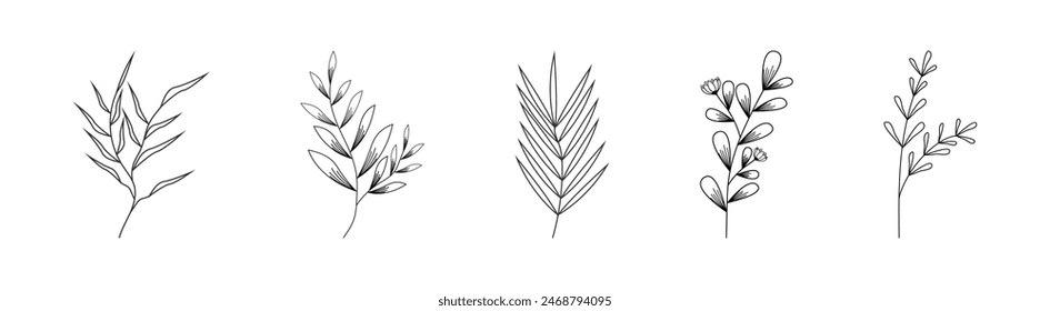 Floral branch vector set. Foliage boho decoration.