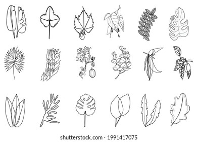 Floral branch. Vintage set of hand drawn branches, leaves and flowers. Hand drawn sketch branches isolated on white background. Vector illustration.