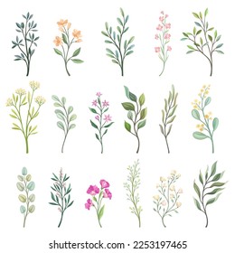 Floral Branches with Blooming Flower and Leafy Stem Big Vector Set