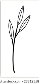 Floral branches and minimalist flowers for logo or tattoo. Hand-drawn line wedding herb, elegant leaves.