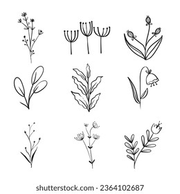 
Floral branches and minimalist leaves for logo or tattoo. Hand-drawn line wedding herb and branches nature doodles.