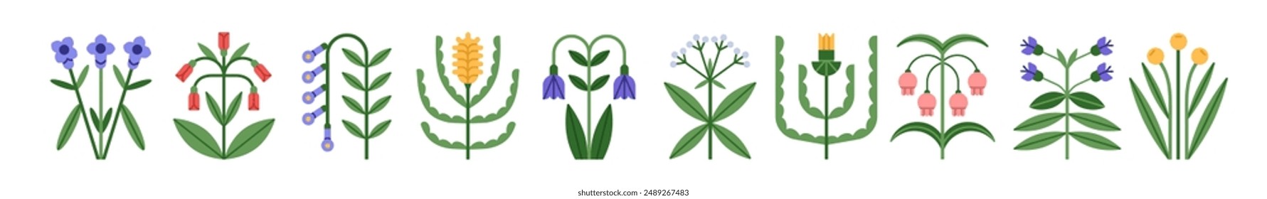 Floral branches set. Blooming flowers icons. Modern style natural botanical elements. Field plants in geometric shape. Wildflower blossoms. Flat vector illustration isolated on white background