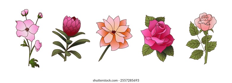 Floral Branches Set. Botanical Natural Elements Collection. Rose, Artichoke, Astronomia Rose, Dahlias. Flat Vector illustration Isolated on White Background.