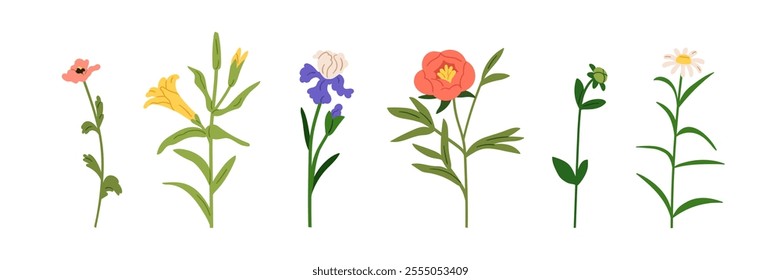 Floral branches set. Garden and field flowers. Gentle blossoms, blooming plants. Lily, iris, chamomile and peony. Natural botanical elements. Flat vector illustration isolated on white background