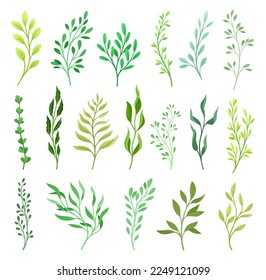 Floral Branches and Twigs with Leafy Stalk or Stem Big Vector Set