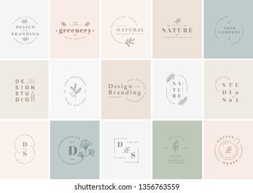 Floral brand and logo designs vector collection