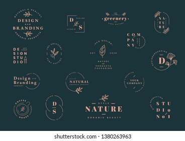 Floral brands and logo designs vector collection