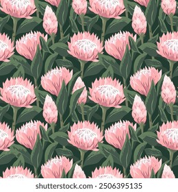 Floral bright seamless pattern with pink protea flowers. Repeatable background with sugarbush blooming flowers. Flat vector design for fabric, textile, prints, wallpaper, covers