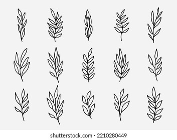 Brunch floral con hojas vectorial set. Elementos dibujados a mano botánicos. Ilustración de la línea Flora. Elementos decorativos de época botánica. Recogida de hierbas naturales.