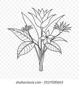 Floral Bunch with Bird of Paradise Line Art Vector Illustration for Elegant Nature Inspired Design