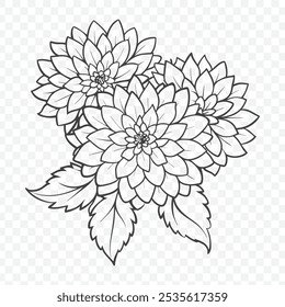 Floral Bunch of Chrysanthemum Line Art Vector Illustration with Intricate and Elegant Flower Details