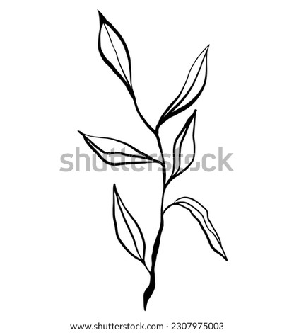 Floral bunch delicate neutral elegant eucalyptus natural bouquet brunch hand drawn doodle vector illustration silhouette wedding decoration leaves 