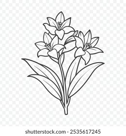 Bunch floral com ilustração de vetor de arte de linha tuberose elegante em estilo botânico detalhado