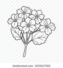 Bunch floral de gerânio na ilustração detalhada do vetor da arte da linha