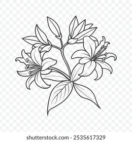 Floral Bunch with Honeysuckle Line Art Vector Featuring Elegant Blossoms and Leaves in a Stunning Design