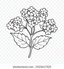 Floral Bunch with Lantana Line Art Vector Featuring Vibrant Flowers and Intricate Design Elements