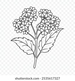 Floral Bunch with Lantana Line Art Vector Featuring Vibrant Flowers and Intricate Design Elements