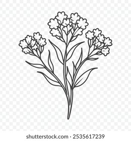 Bunch floral com flores estatice em linha detalhada ilustração vetor arte perfeito para desenhos e impressões