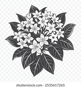 Bunch floral com Stephanotis Silhouette Vetor Ilustração para Arte Decorativa e Elementos de Design