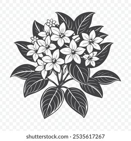 Bunch floral com Stephanotis Silhouette Vetor Ilustração para Arte Decorativa e Elementos de Design