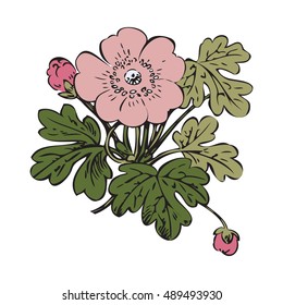Floral bush retro on white background vector, hand drawn decorative flower vintage contour, closeup branch with flower and buds print design