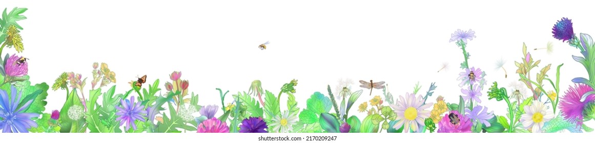 floral and butterfly backdrop decorated with gorgeous multicolored blooming flowers and leaves border. Spring botanical vector illustration on white background
