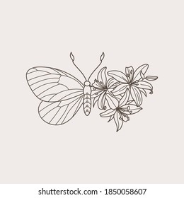 Floral Butterfly icon in a Linear Minimalist trendy style. Vector outline Emblem of Wings with Flowers for creating logos of beauty salons, t-shirt print, massages, spas, jewelry, tattoos