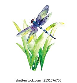 floral butterfly vector drawing pattern work.eps