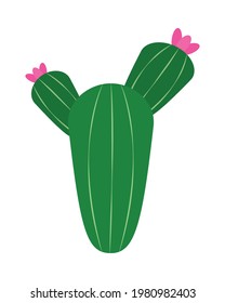 floral cactus icon on background