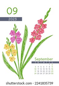 Calendario floral 2023 año. Mes de septiembre. Ilustración botánica de Gladiolus. Diseño de calénder. Dibujo manual de lápiz vectorial o dibujo de doodle de marcador. Dibujo de lápiz natural