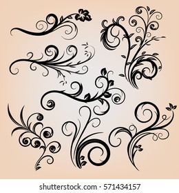 Floral calligraphic elements