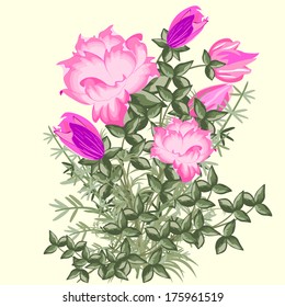 Floral card