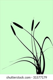 Floral card