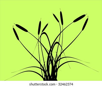  Floral card