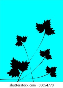  Floral card