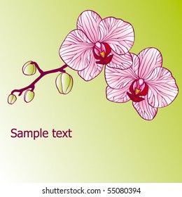 floral card