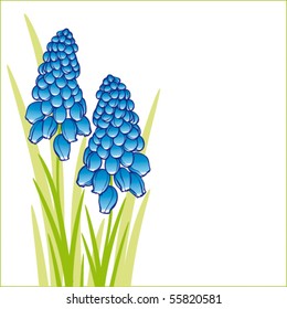 floral card