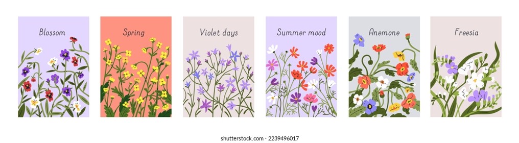 Floral card backgrounds set. Spring field flowers on modern botanical cover designs. Romantic gentle blossomed blooms, bellflowers and anemones on vertical nature banners. Flat vector illustrations