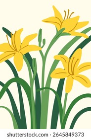 Floral card, botanical poster. Blooming lily flowers, delicate petals, leaves. Spring garden background design. Summer flora, nature, gentle beautiful blossoms, leaf. Flat vector illustration