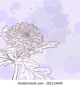 Floral card with chrysanthemum, vintage vector illustration