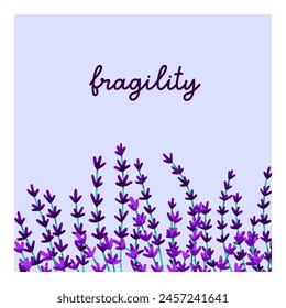 Floral card design, lavender flowers. Summer field blooms, square background. Blossomed lavander stems, gentle fragile lavandula wildflowers, nature backdrop. Botanical flat vector illustration