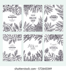 Floral card design templates. Flower frame collection. Vintage sketchy style plants. Vector illustration