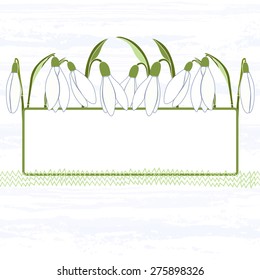 Floral card with frame and snowdrops. Vector background with space for text, invitation or greeting card.