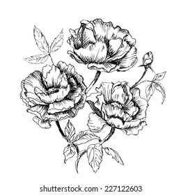 Floral card. Hand drawn illustration. 