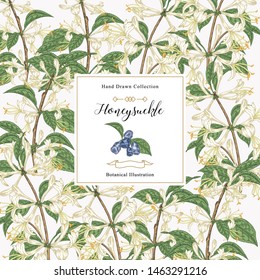 Floral card with honeysuckle plant. Hand drawn flowers, berries and leaves of lonicera japonica. Vector illustration botanical. 