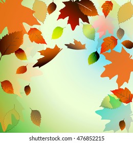 Floral  card. Leaf background. 