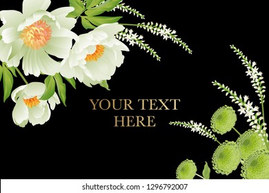 Floral card luxury pattern Delicate pastel white garden aster peonies black background Flora vintage style Vector bouquet and wreaths garden flowers Template for business cards, posters, signs, flyers