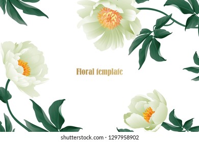 Floral card luxury pattern. Delicate pastel white garden peonies on white background. Flora vintage style Vector bouquet and wreaths garden flowers. Template for business cards, posters, signs, flyers