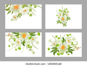 Floral card luxury pattern set. Delicate pastel white garden aster peonies white background. Flora vintage style Vector bouquet and wreaths garden flowers. Template for business posters, signs, flyers